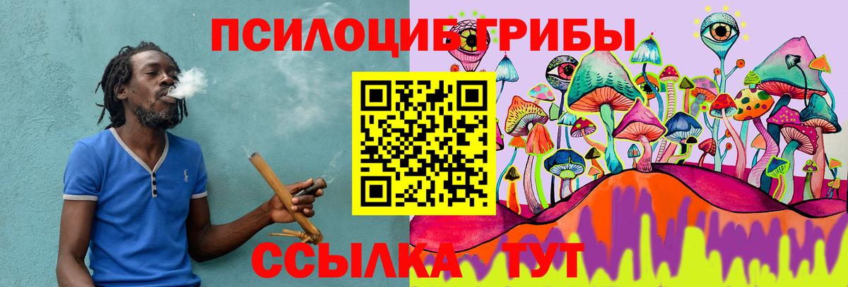 Ростов Великий  Галлюциногенные грибы Psilocybe  Вход с VPN  Псилоцибиновые грибы мухоморы 