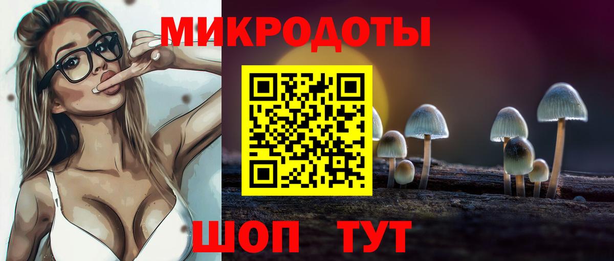 Галлюциногенные грибы мицелий Ростов Великий