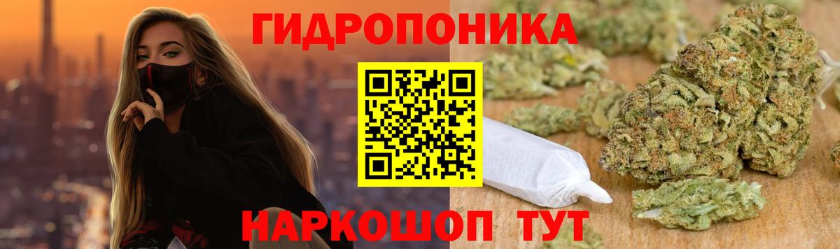 Канабис Bruce Banner  Бошки Шишки план  Канабис планчик  Вход с VPN  Марихуана White Widow  Ростов Великий 